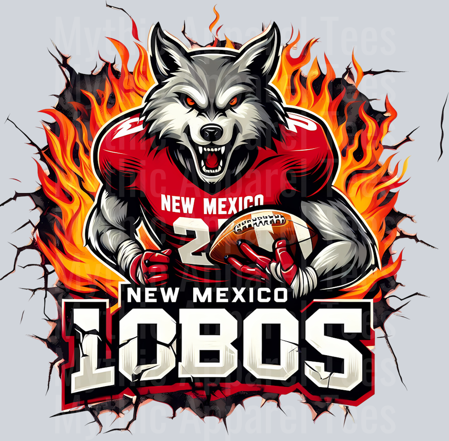 College Football Team Transfers