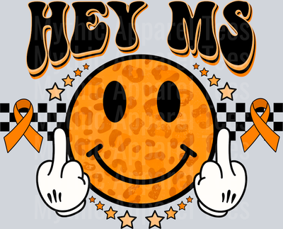 Hey_MS_Fu 2