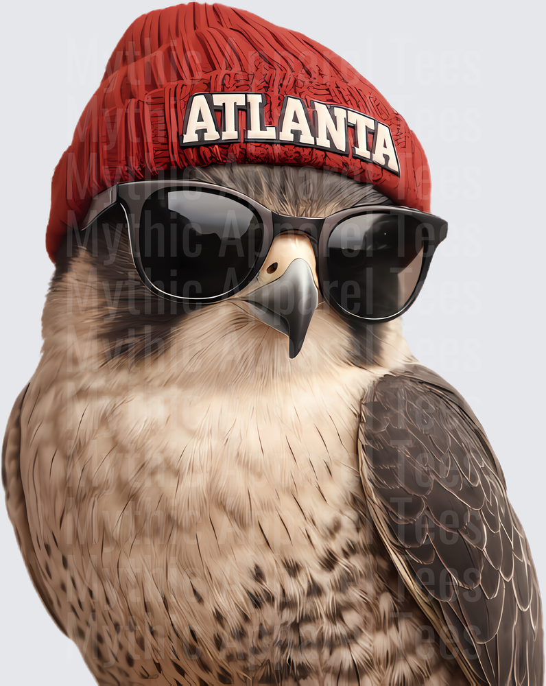 NFL Mascots Atlanta Falcon Wearing Red Beanie and Sunglasses