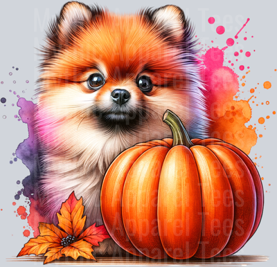 POMERANIAN PUMPKIN