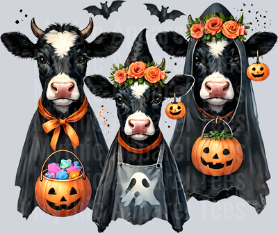 bull sheet 6
