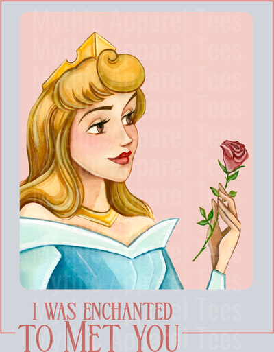I was Enchanted To Meet You Cinderella Disney Princess Taylor Swift Lyrics