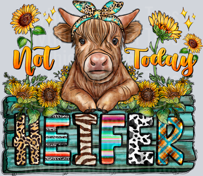 Not Today Heifer 2 DTF Highland Cow Transfers