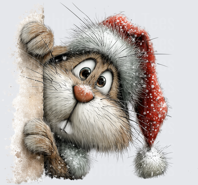 Curious Fluffy Cat Peeking Around Corner Wearing Snowflake Santa Hat with Snow Dusted Fur