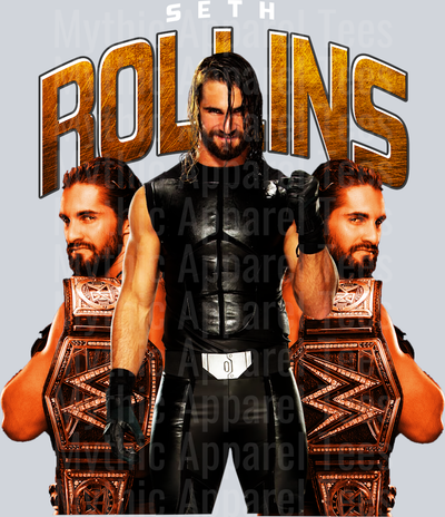 SETH ROLLINS WWE Superstars DTF WWE Transfers