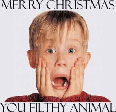 Home Alone Kevin McCallister Hands On Face Merry Christmas You Filthy Animal