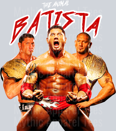 BATISTA WWE Superstars DTF WWE Transfers