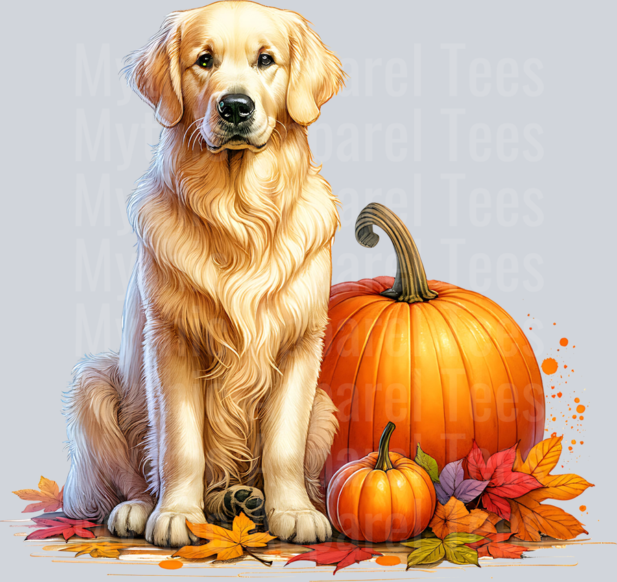 GOLDEN RETRIEVER FALL PUMPKIN