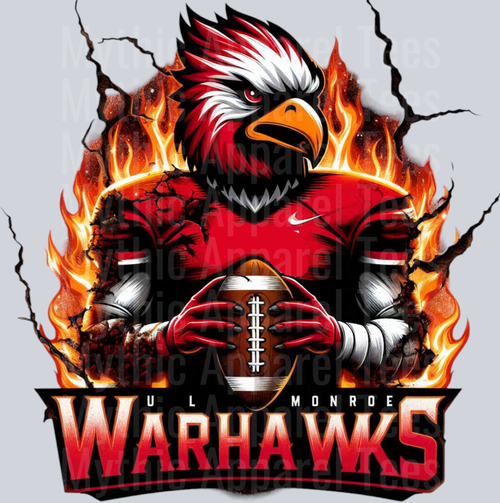 College Football Team Transfers