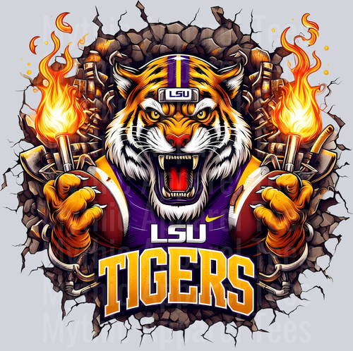 College Football Team Transfers