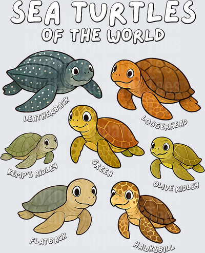 Sea Turtles of the World Educational Animal Collection Types T-Shirt