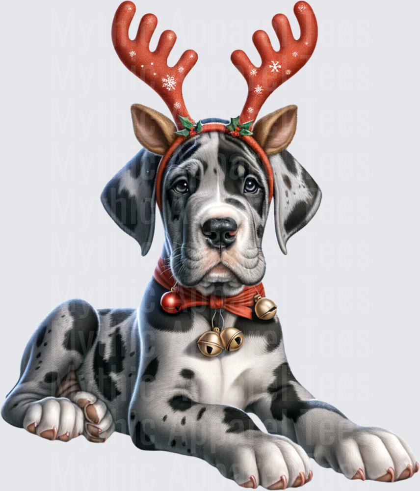 Harlequin Great Dane Puppy Christmas Reindeer Antlers Jingle Bells Holiday