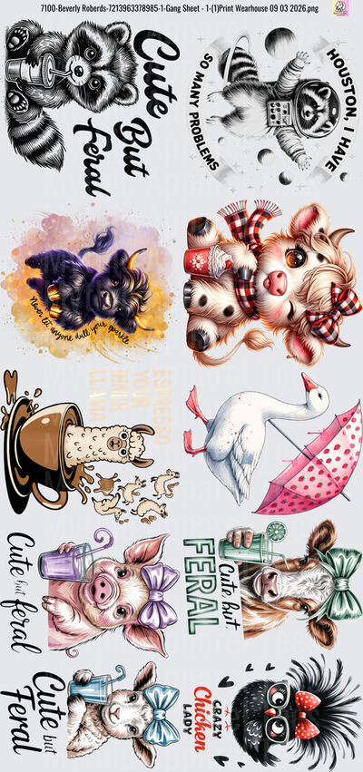 Gang Sheet FULL SIZE DESIGNS Cute But Feral Raccoon Astronaut Pig Farm Animals Collection