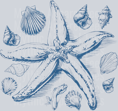 Blue Seashell starfish cute sketched design DTF Summer Transfers