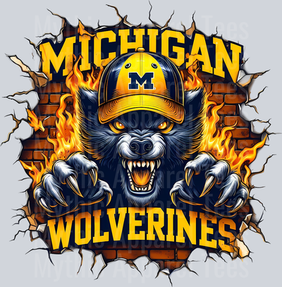 College Football Team Transfers