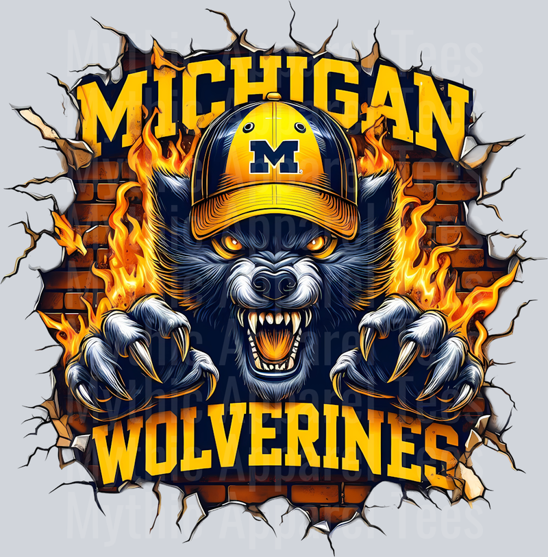 College Football Team Transfers