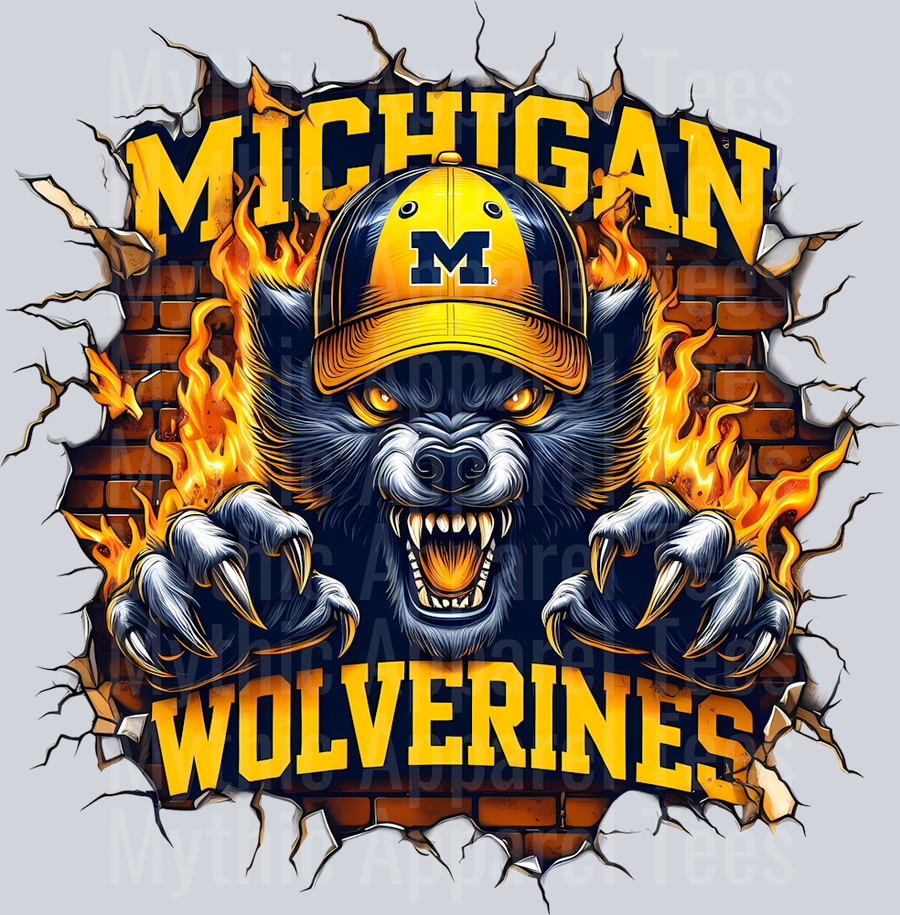 College Football Team Transfers