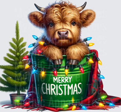 Highland Christmas Cow in Green Merry Christmas Bucket with Lights