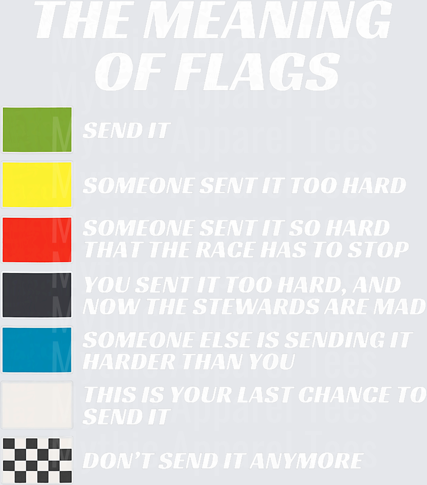 The Meaning Of Flags Funny Racing Flag Guide Send It Motorsport Humor Chart