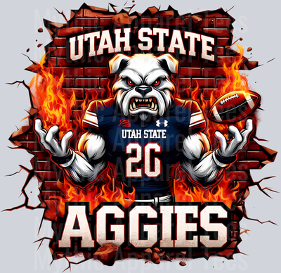 College Football Team Transfers