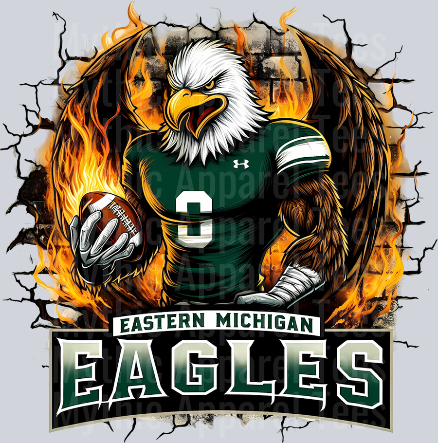 College Football Team Transfers