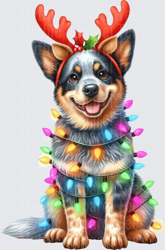 Australian Cattle Dog Blue Heeler Wrapped in Colorful Christmas Lights Wearing Reindeer Antlers Holly Headband