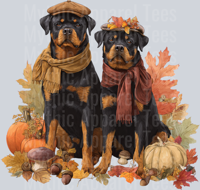 fall rottweiler png