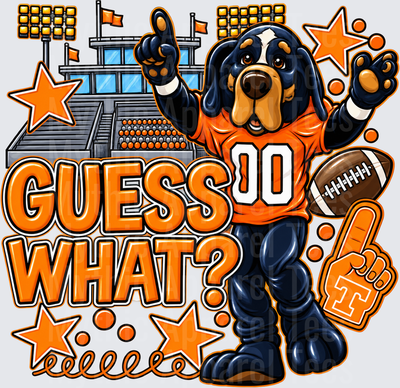 Tennessee Vols Smokey Mascot Guess What Football Stadium Orange and Navy Cartoon Graphic