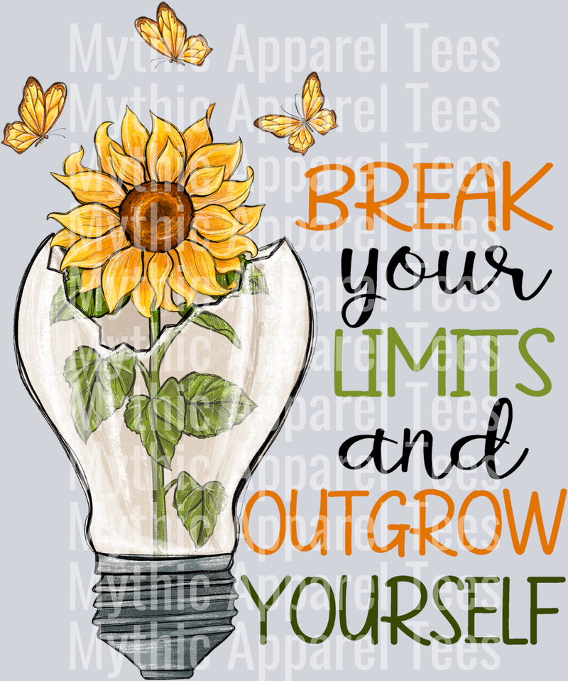 Break Your Limits and Outgrow Yourself - Empowerment Transfers