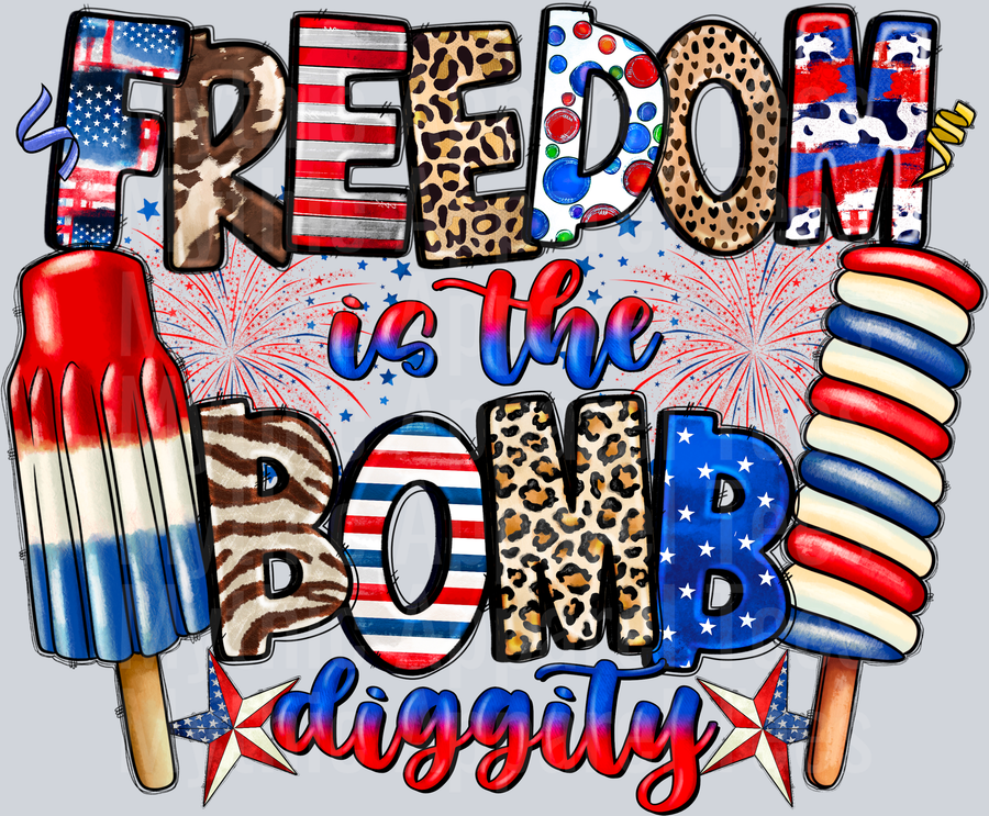 Freedom Is The Bomb Diggity 4th of july DTF Patriotic Transfers