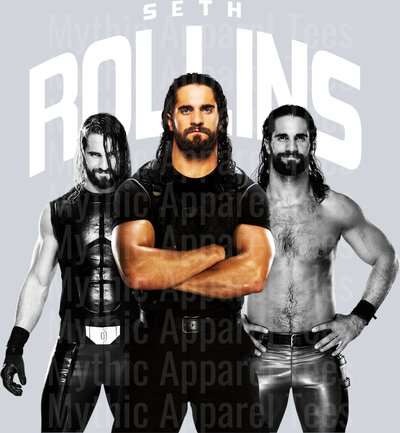 SETH ROLLINS 2 WWE Superstars DTF WWE Transfers