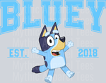Bluey, Kids Transfers, Established 2018, Cartoon Characters, Fun Style, DTF Transfer