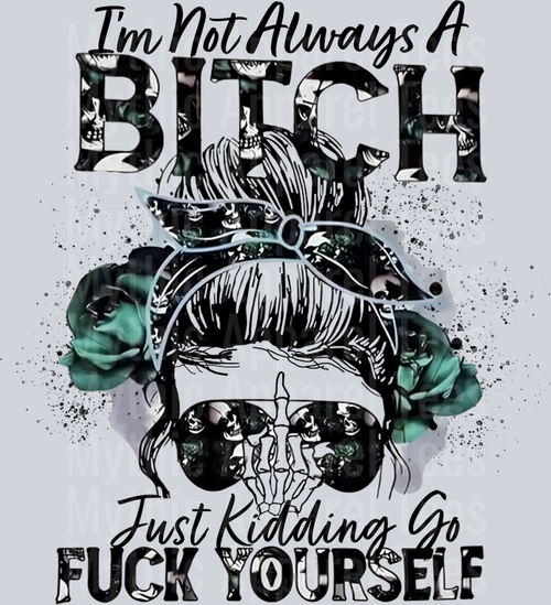 I'm not always a bitch Just Kidding Go Fuck Yourself DTF Sarcastic Transfers