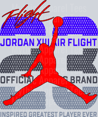 23 JORDAN FLIGHT Michael Jordan Chicago Bulls Jordans Nike DTF Michael Jordan Transfers