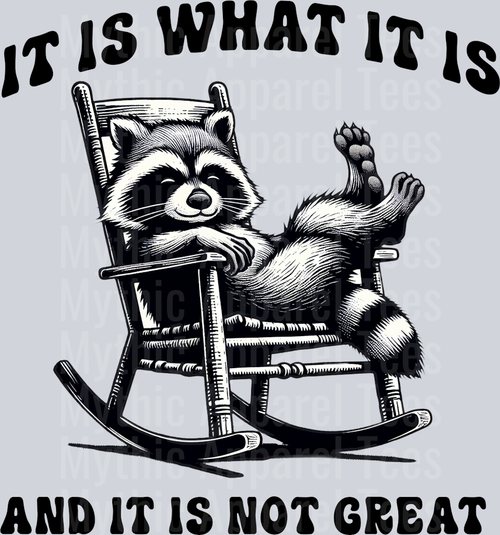 It is what it is and it is not great racoon on rocking chair DTF Racoon Transfers