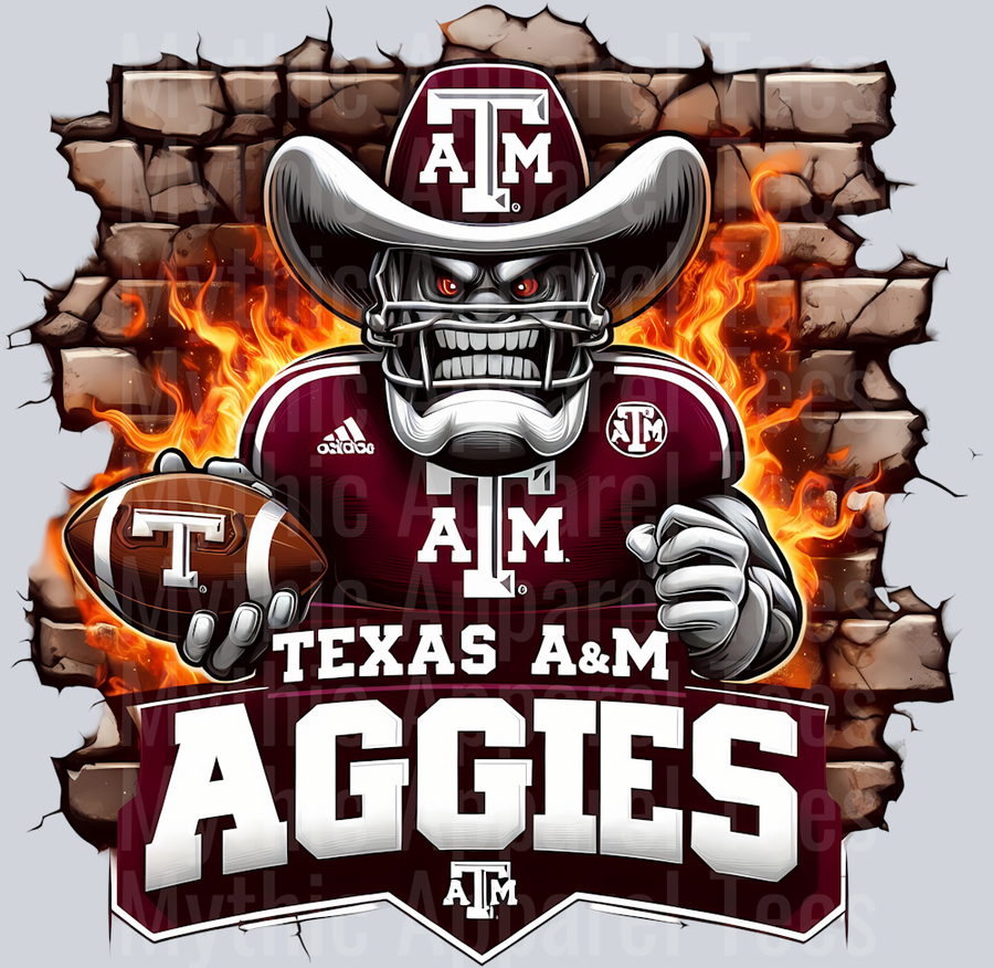 College Football Team Transfers