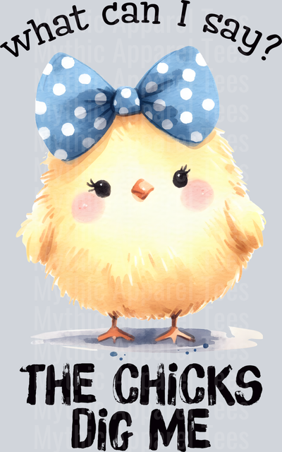 what can i say, chicks dig me funny cute chicken shirt DTF Chicken Transfers