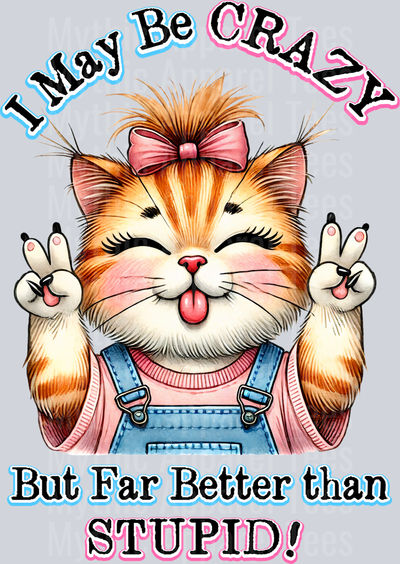 I may be crazy but far better than stupid DTF Cat Transfers