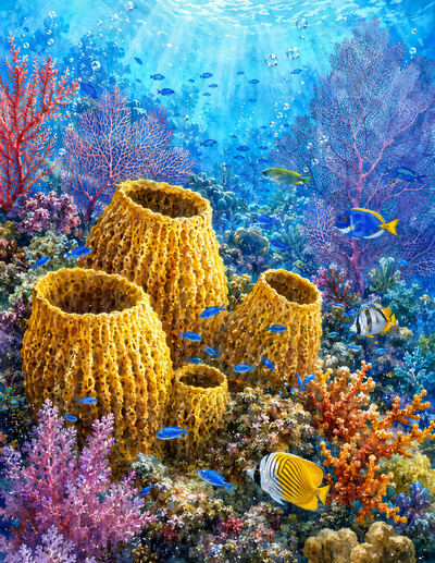 Ocean Animals Vibrant Coral Reef with Tropical Fish and Sponges