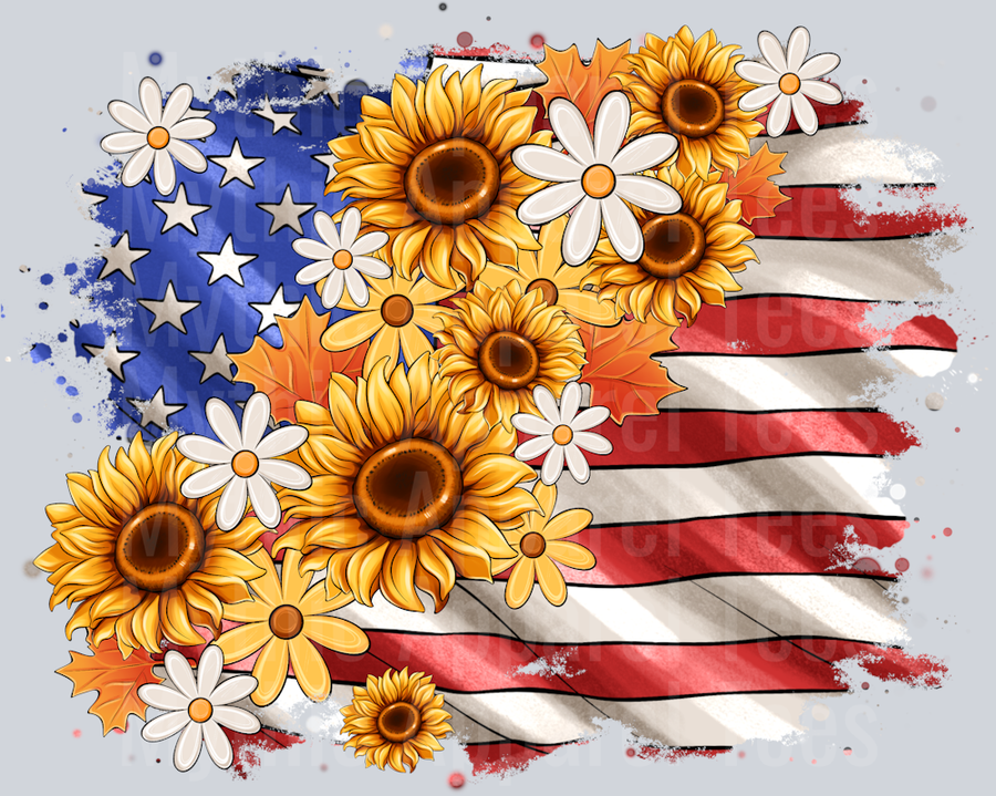 America Flag