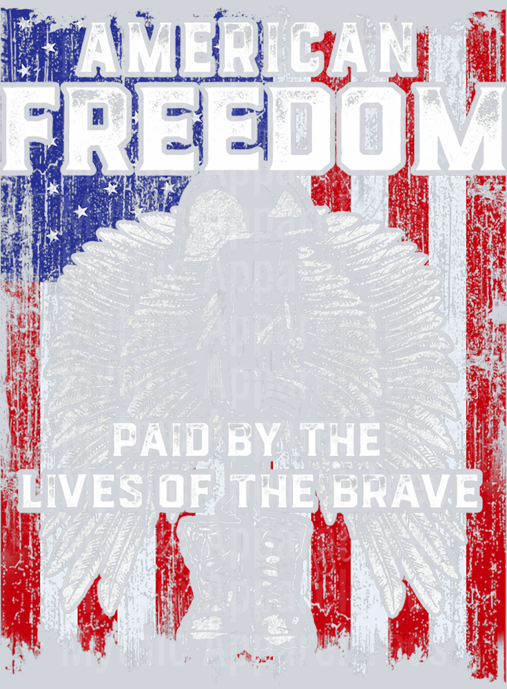 American Freedom Paid by the lives of the brave tattered american flag DTF Memorial Day Transfers