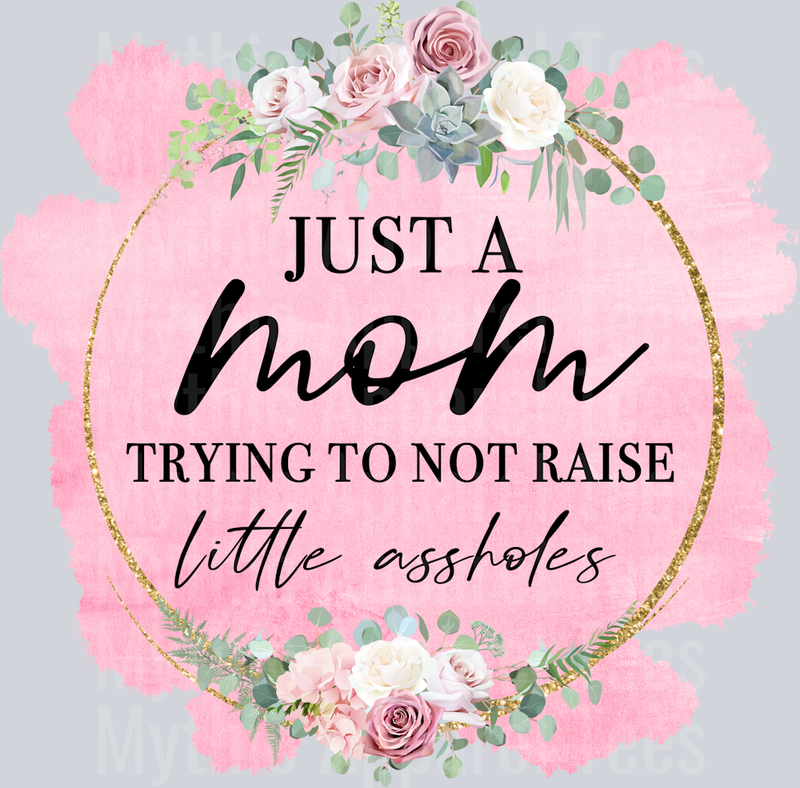 Just a mom trying to not raise little assholes DTF Sarcastic Transfers