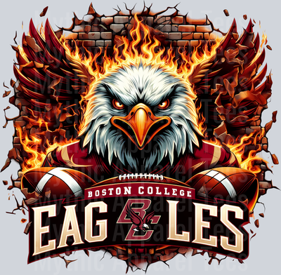 College Football Team Transfers