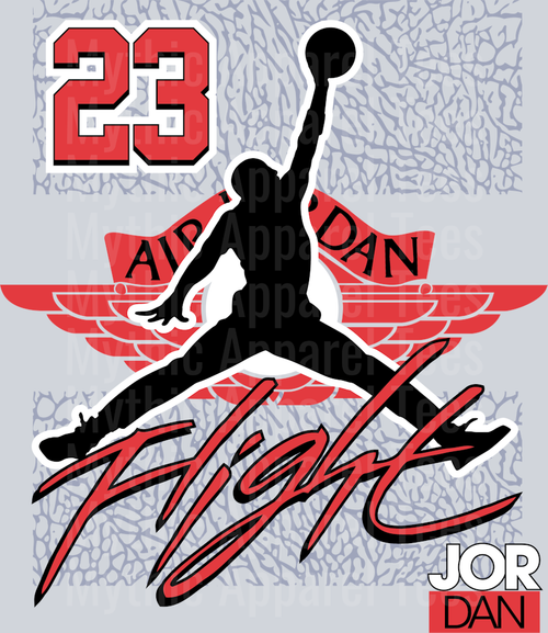 FLIGHT 23 Michael Jordan Chicago Bulls Jordans Nike DTF Michael Jordan Transfers
