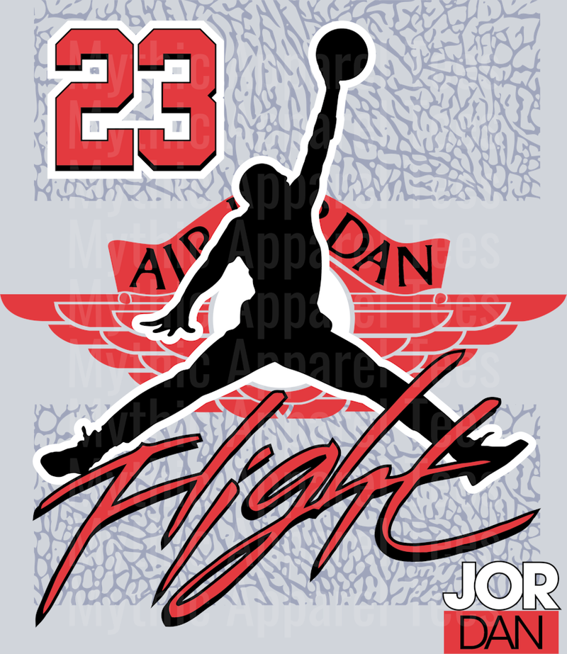 FLIGHT 23 Michael Jordan Chicago Bulls Jordans Nike DTF Michael Jordan Transfers