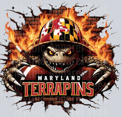 College Football Team Transfers