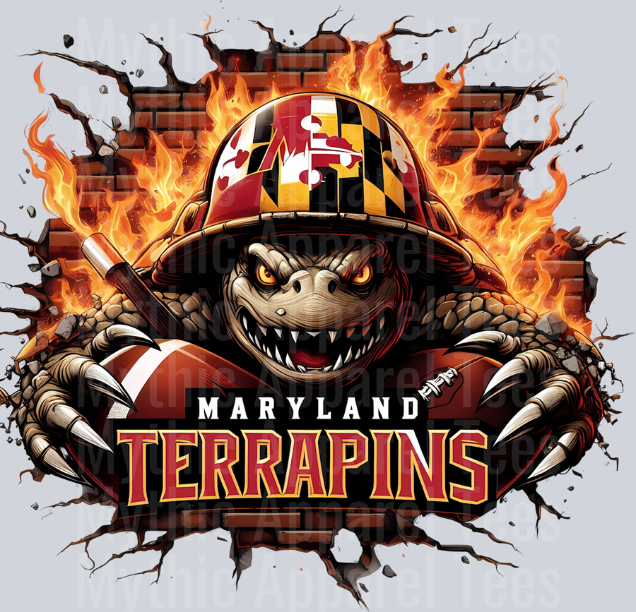 College Football Team Transfers