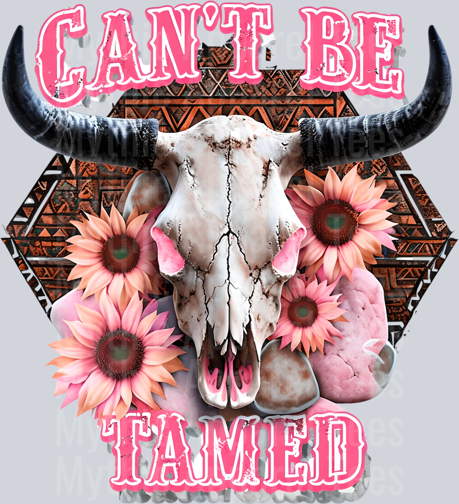 Can't Be Tamed Cowgirl Western Southern Girl Pink