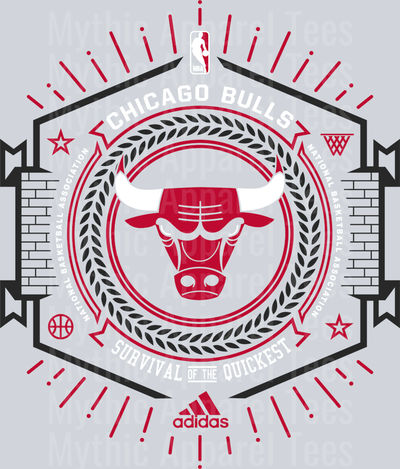 Chicago Bulls Rink Michael Jordan Chicago Bulls Jordans Nike DTF Michael Jordan Transfers