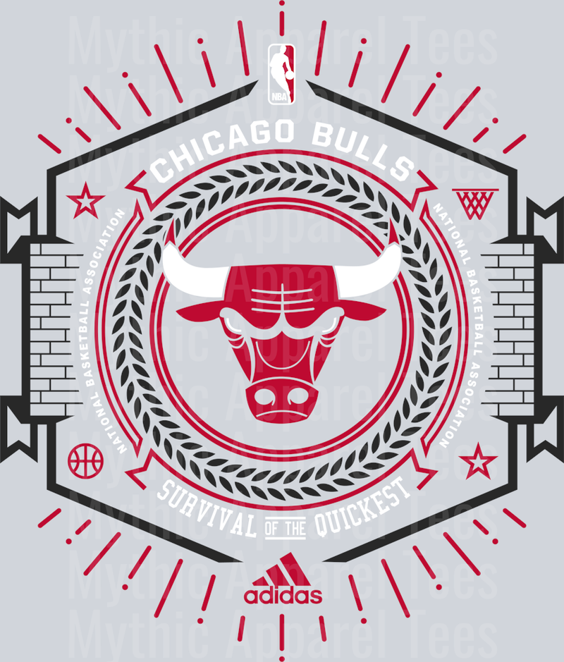 Chicago Bulls Rink Michael Jordan Chicago Bulls Jordans Nike DTF Michael Jordan Transfers